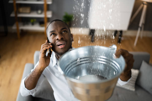 Best Carpet water damage restoration  in Gonzales, LA