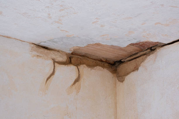 Best Commercial water damage restoration  in Gonzales, LA
