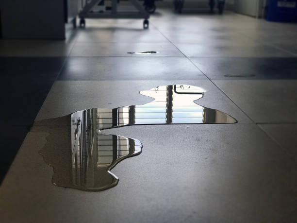 Best 24/7 water damage repair  in Gonzales, LA