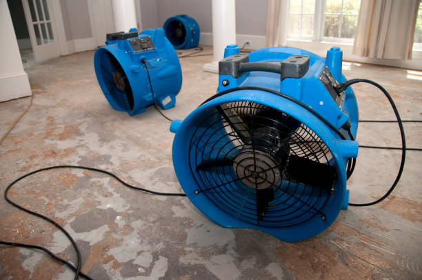 Best 24-hour water damage restoration  in Gonzales, LA