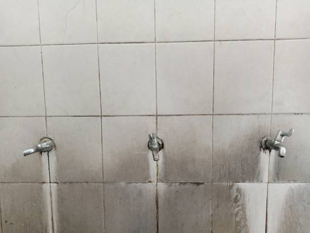 Best Ceiling water damage repair  in Gonzales, LA