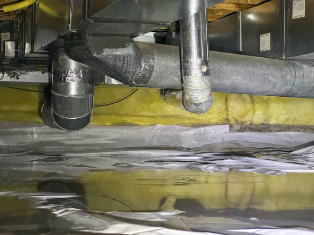 Best Flood damage cleanup  in Gonzales, LA